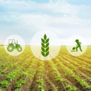 Agricoltura sostenibile e rifiuti