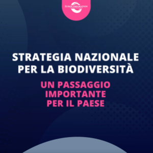 Strategia nazionale per la Biodiversità, un passaggio importante per il paese