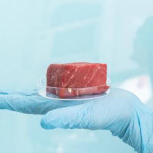 Consumare carne e le sue alternative