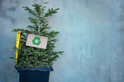 Gli sprechi del Natale, gli alberi e i rifiuti della lavorazione del legno