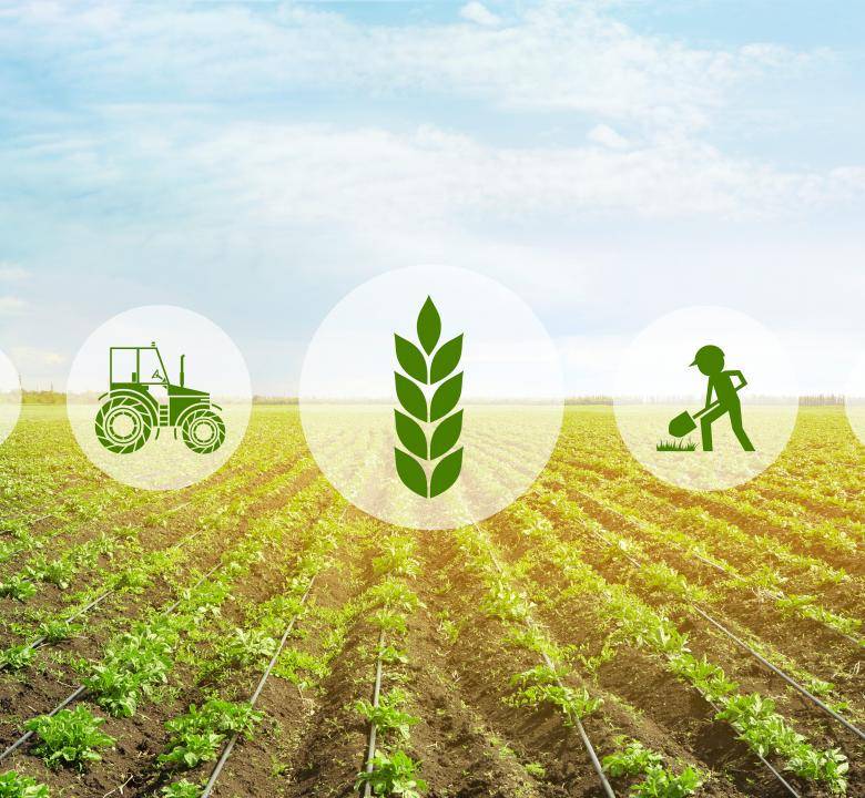 Agricoltura sostenibile e rifiuti