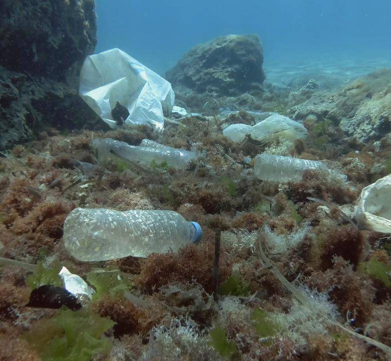 E' arrivata l'estate: inquinamento dei mari e smaltimento imballaggi 
