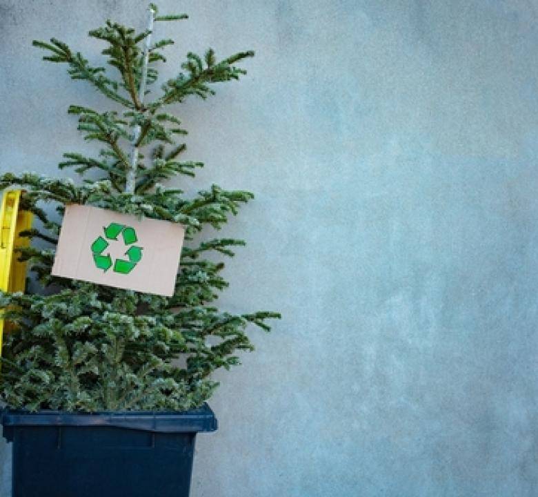 Gli sprechi del Natale, gli alberi e i rifiuti della lavorazione del legno