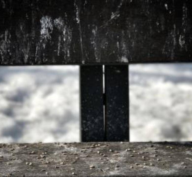 smaltimento-guano-piccioni