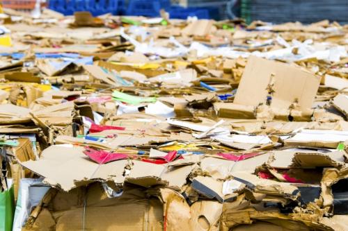 Occhio alla carta: come funziona il suo riciclo e come distinguerla