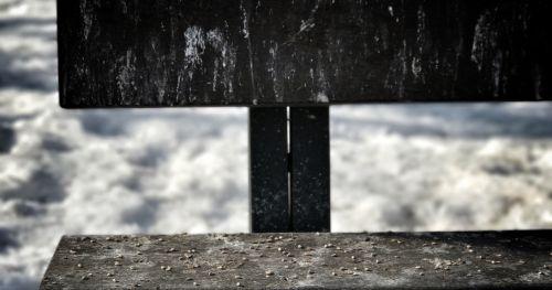 Smaltimento guano piccioni: come effettuarlo